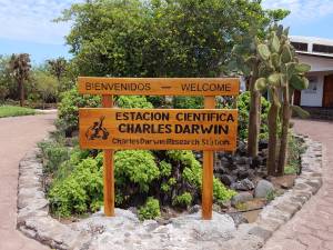 The Charles Darwin Research Station is a tortoise breeding station located on Santa Cruz Island