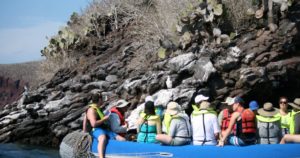 Galapagos PRO Ausflug zum Vogelbeobachten bei Galapagos-Insel Rábida