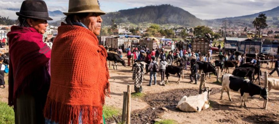 Traditioneller Viehmarkt im Hochland von Ecuador