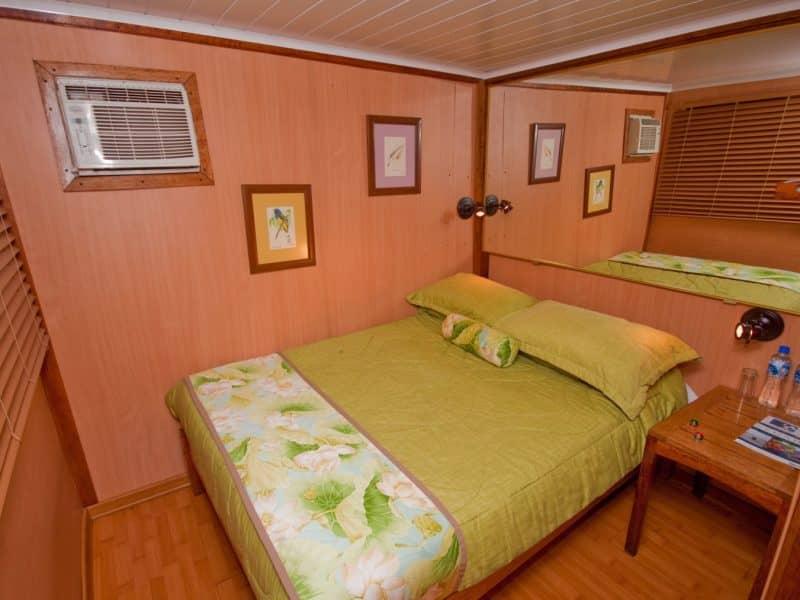 Galapagos PRO Manatee Amazon Explorer double bed cabin