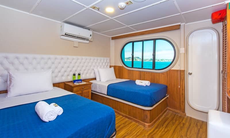 Galapagos PRO Tip Top II cabin