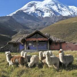 Chimborazo Lodge €€