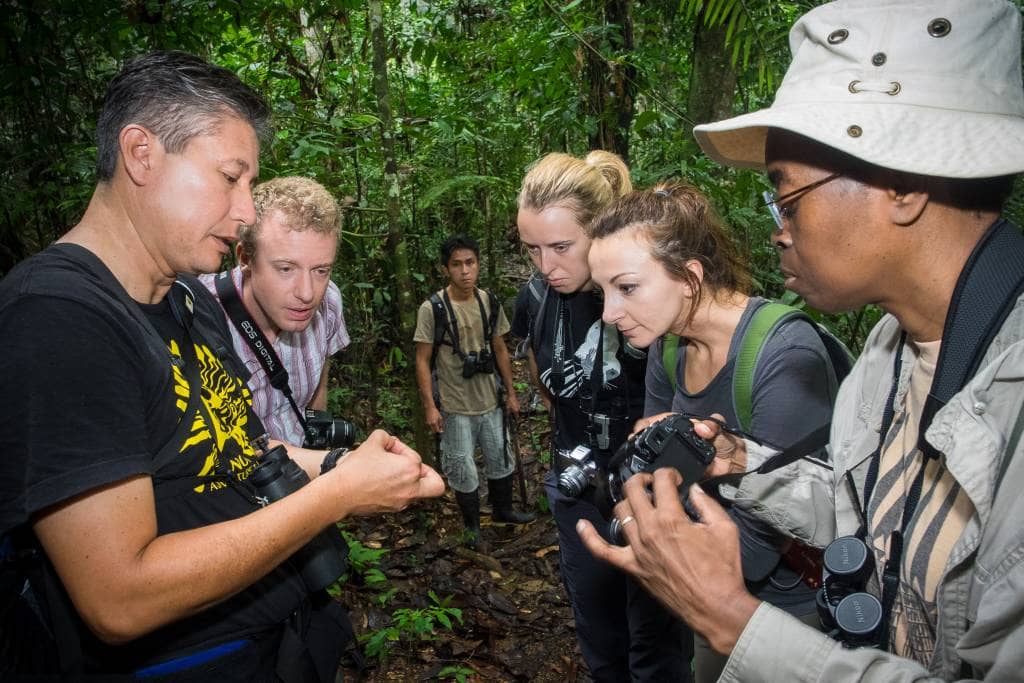 Geschulte Naturführer erklären die imposante Pflanzen- und Tierwelt - Top 10 Sehenswürdigkeiten im Amazonasgebiet