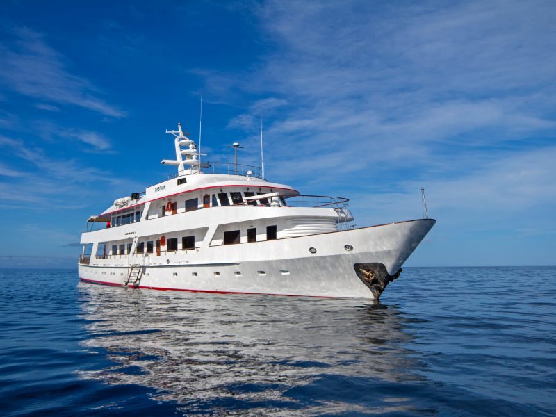 Die Motor-Yacht Passion entlang der Galapagos Inseln