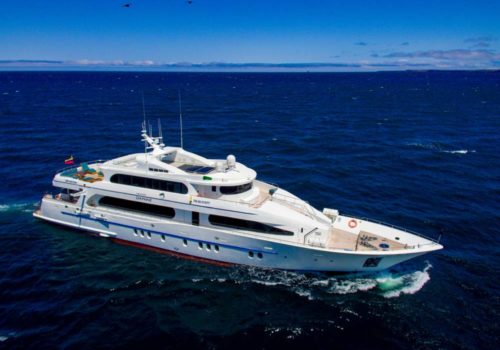 Grand Daphne Yacht mit Galapagos PRO