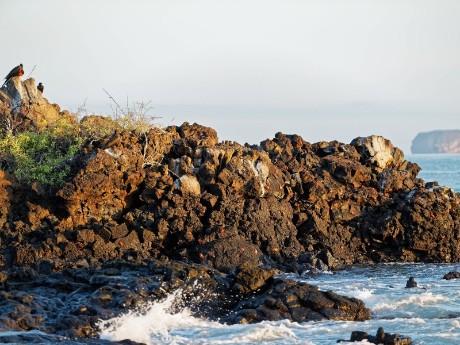 Las Bachas in Insel Santa Cruz 